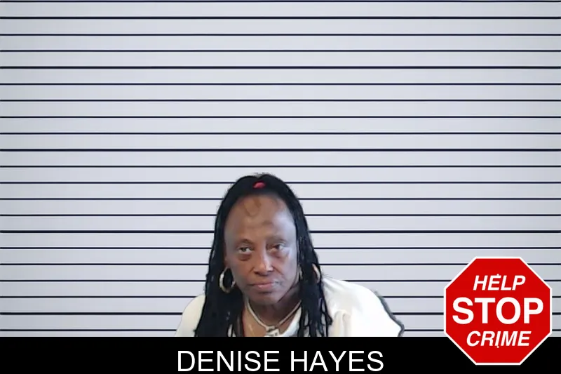 Denise Hayes mugshot – DeKalb County , Georgia Denise Hayes mugshot