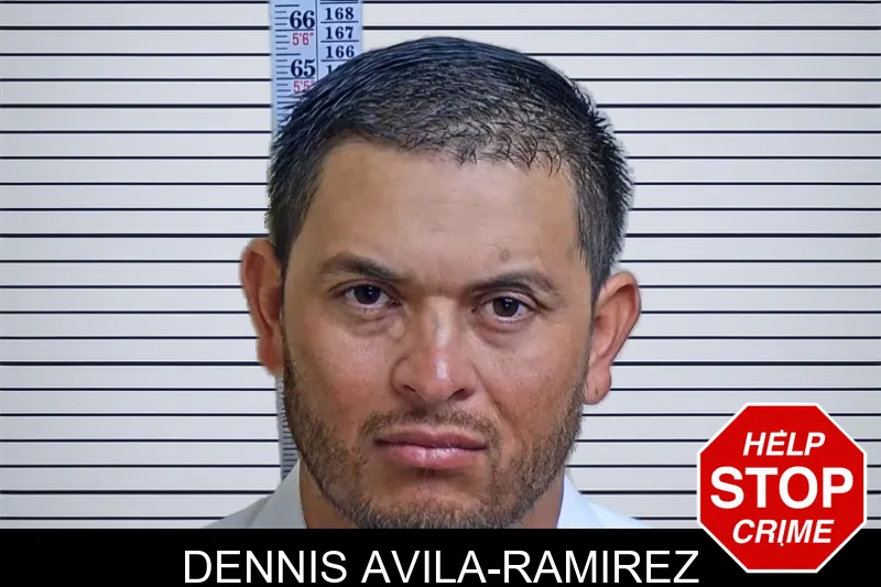 Dennis Avila-Ramirez mugshot – Gwinnett County , Georgia Dennis Avila-Ramirez mugshot