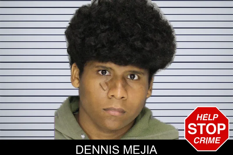 Dennis Mejia mugshot – Cobb County , Georgia Dennis Mejia mugshot