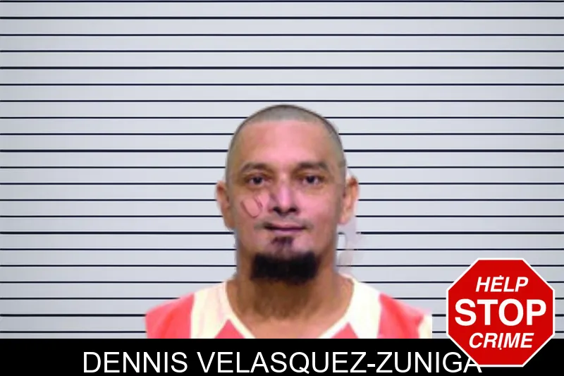 Dennis Velasquez-Zuniga mugshot – Bartow County , Georgia Dennis Velasquez-Zuniga mugshot