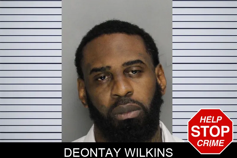 Deontay Wilkins mugshot