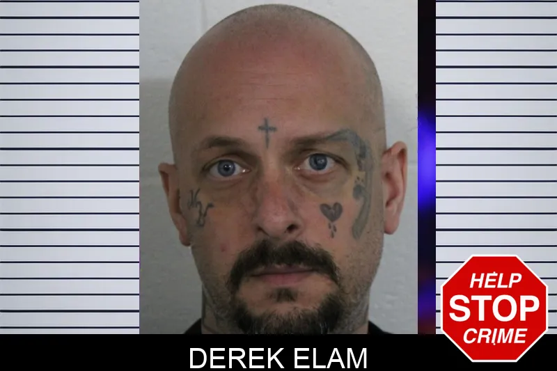 Derek Elam mugshot