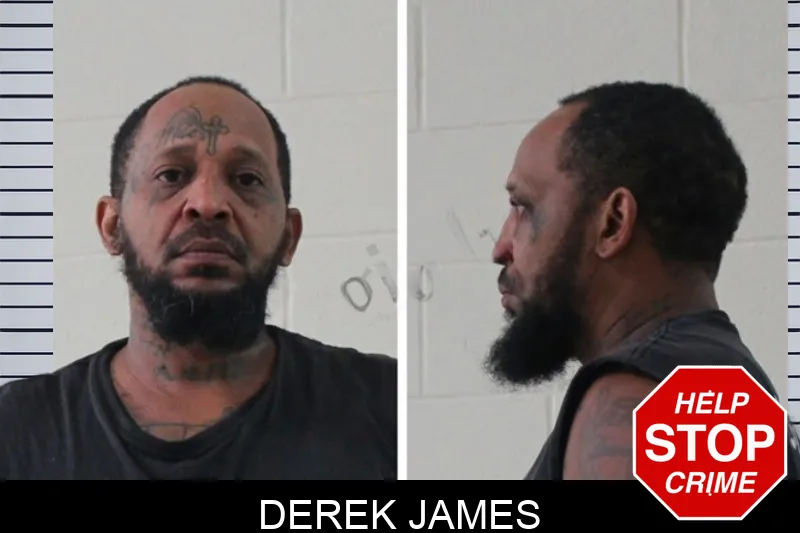 Derek James mugshot – Houston County , Georgia Derek James mugshot