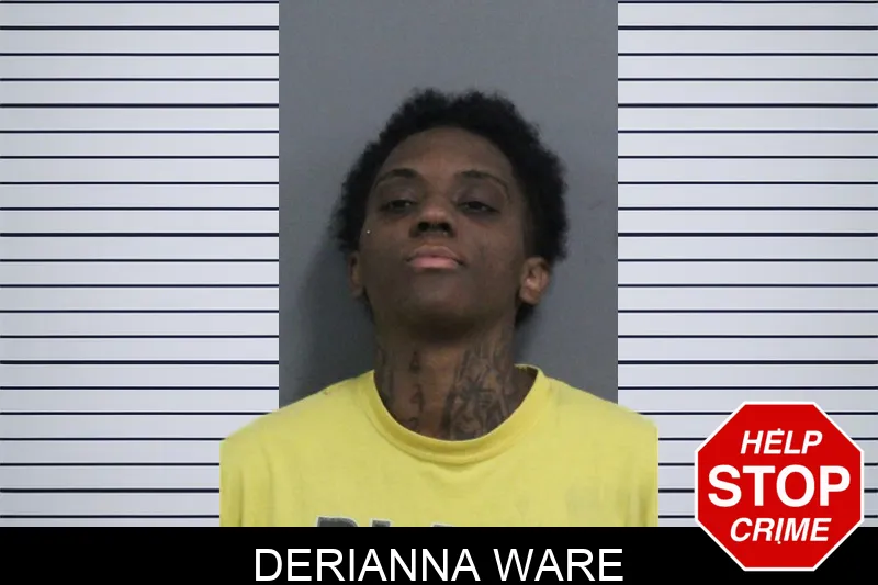 Derianna Ware mugshot – Catoosa County , Georgia Derianna Ware mugshot