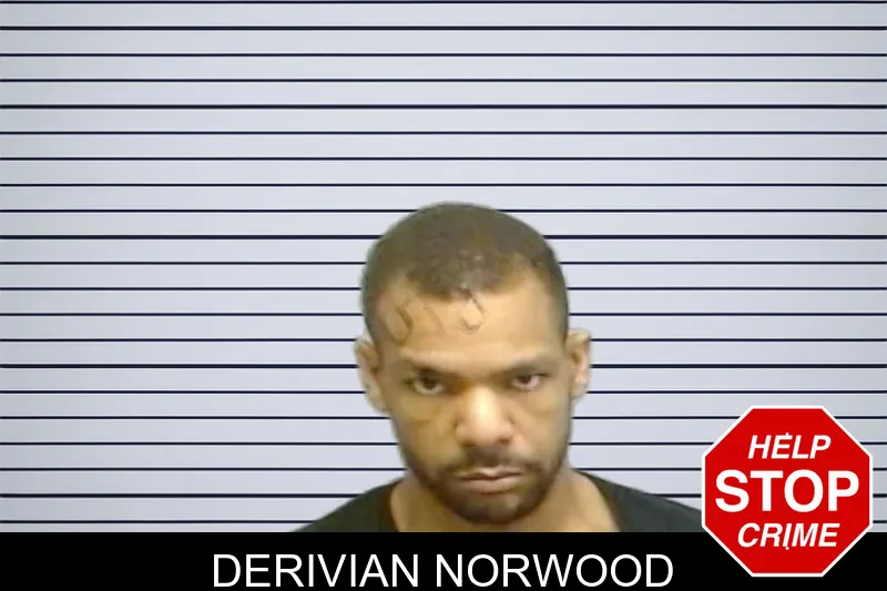 Derivian Norwood mugshot – Fulton County , Georgia Derivian Norwood mugshot