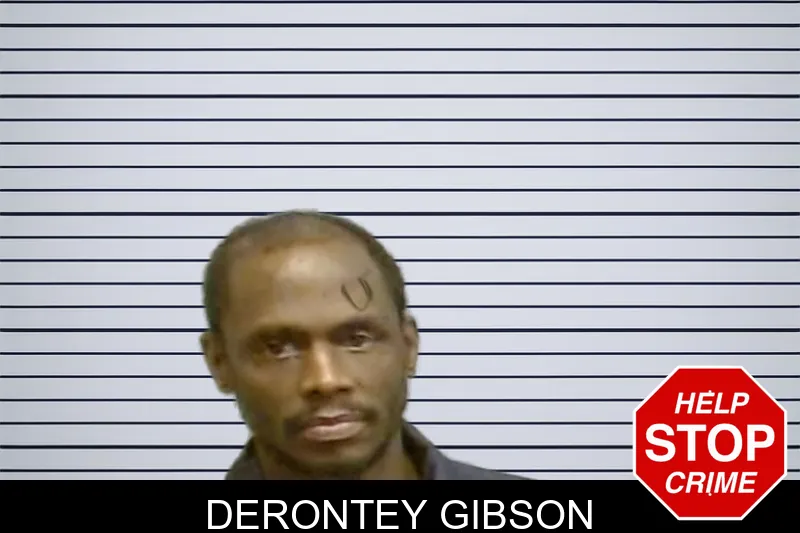 Derontey Gibson mugshot – Fulton County , Georgia Derontey Gibson mugshot