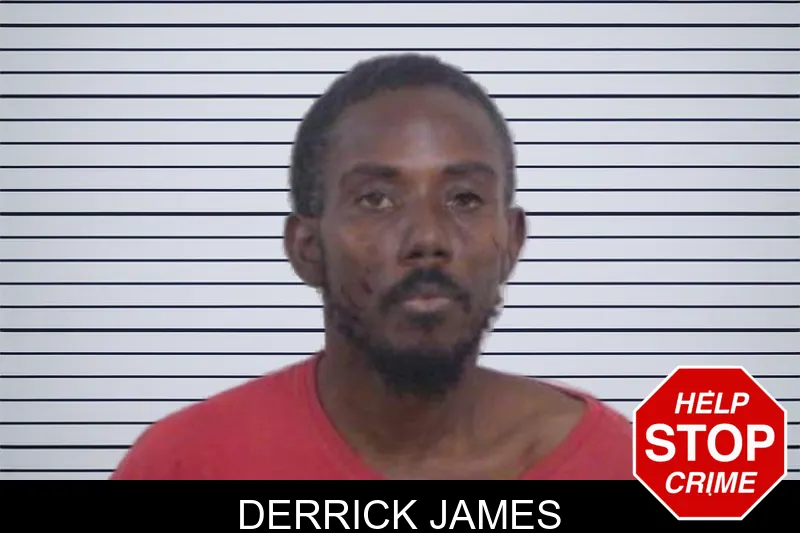 Derrick James mugshot – Washington County , Georgia Derrick James mugshot