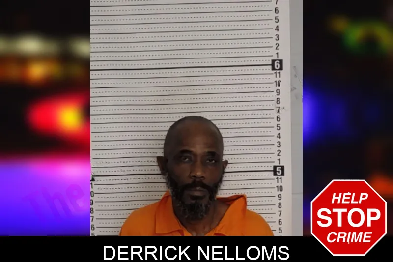 Derrick Nelloms mugshot