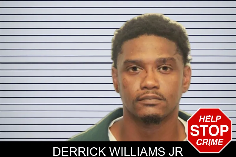 Derrick Williams Jr mugshot – Chatham County , Georgia Derrick Williams Jr mugshot