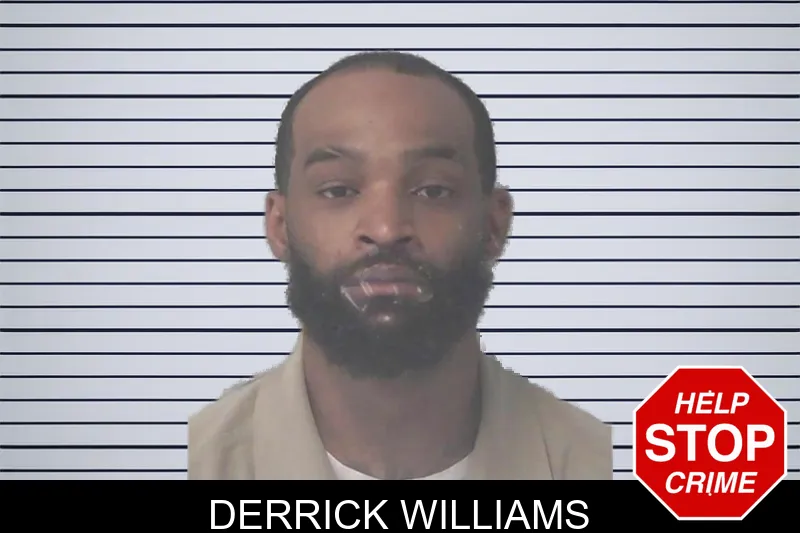 Derrick Williams mugshot
