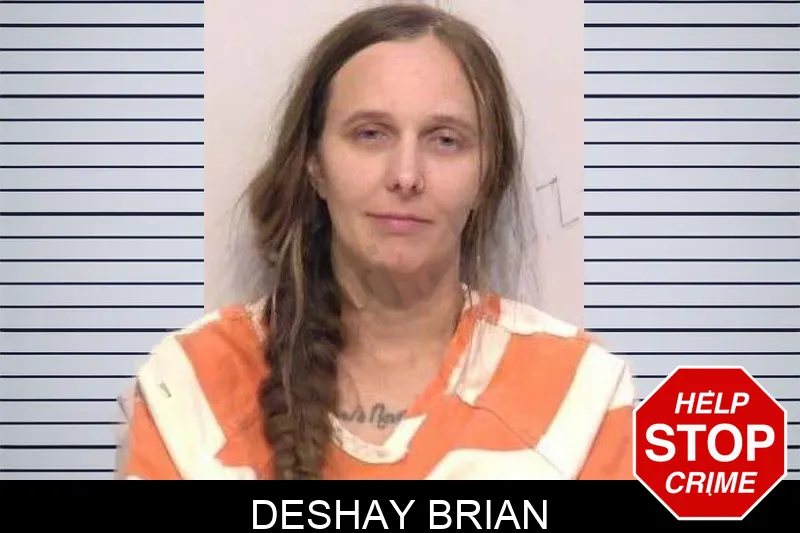 Deshay Brian mugshot – Bartow County , Georgia Deshay Brian mugshot
