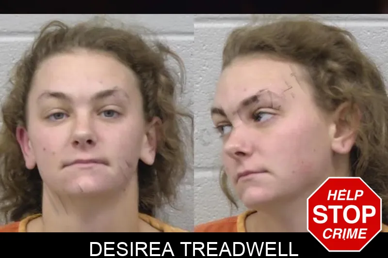 Desirea Treadwell mugshot