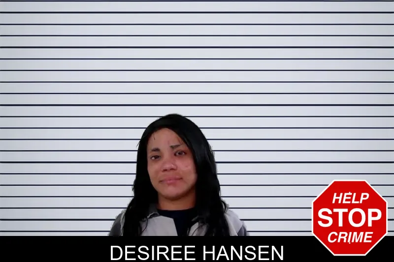 Desiree Hansen mugshot – Liberty County , Georgia Desiree Hansen mugshot