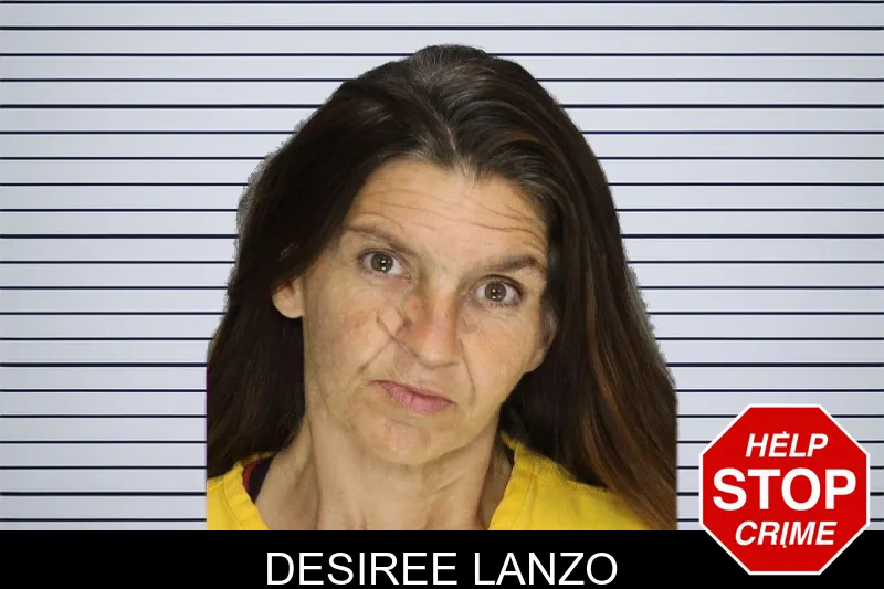 Desiree Lanzo mugshot