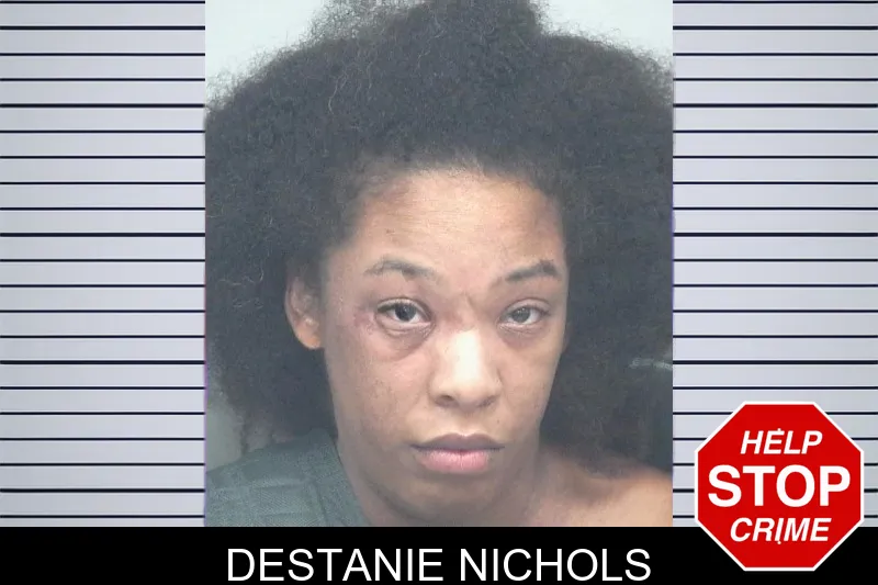 Destanie Nichols mugshot – Gwinnett County , Georgia Destanie Nichols mugshot