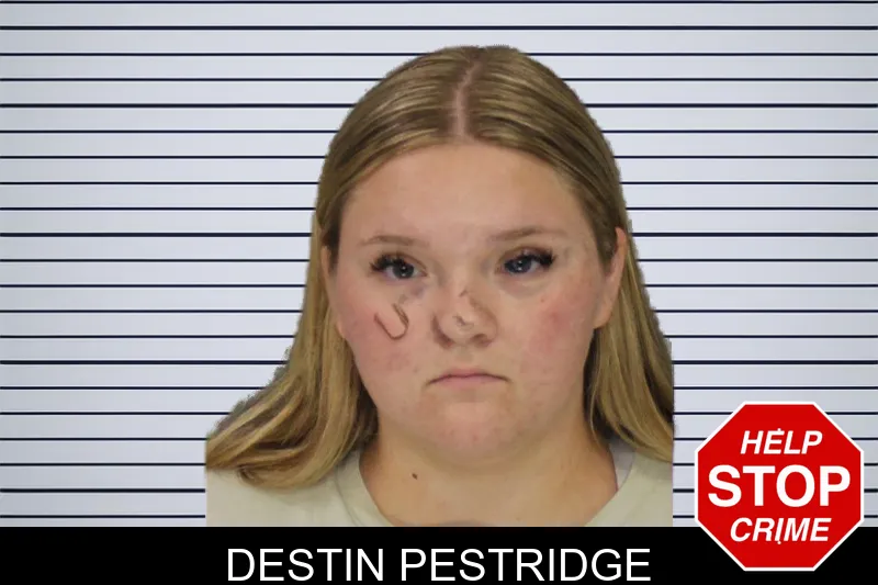 Destin Pestridge mugshot