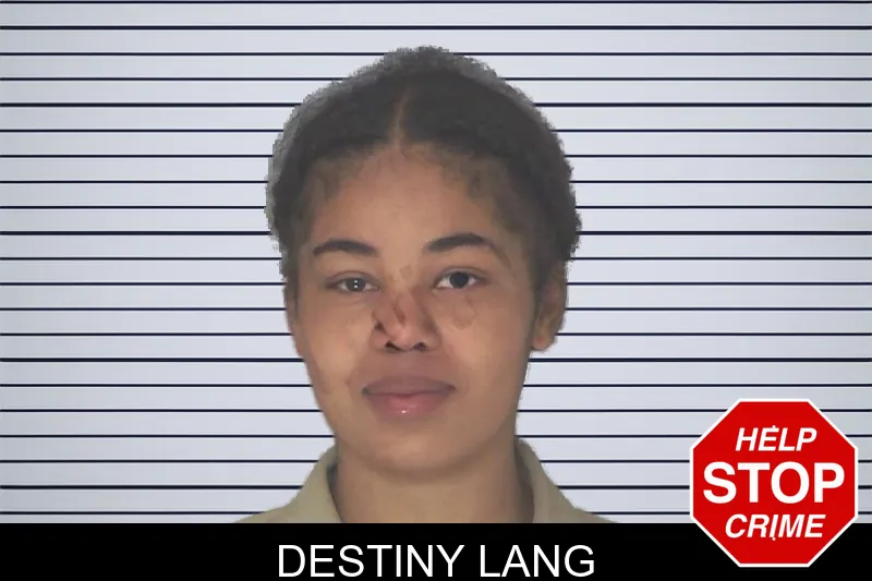 Destiny Lang mugshot