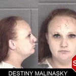 Destiny Malinasky mugshot – Barrow County , Georgia Destiny Malinasky mugshot