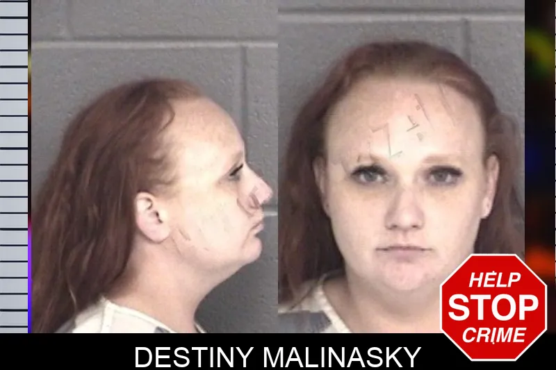 Destiny Malinasky mugshot – Barrow County , Georgia Destiny Malinasky mugshot