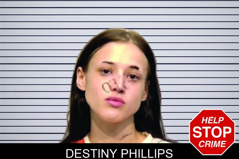 Destiny Phillips mugshot – Bartow County , Georgia Destiny Phillips mugshot