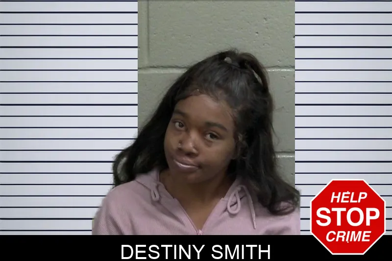 Destiny Smith mugshot – Wayne County , Georgia Destiny Smith mugshot