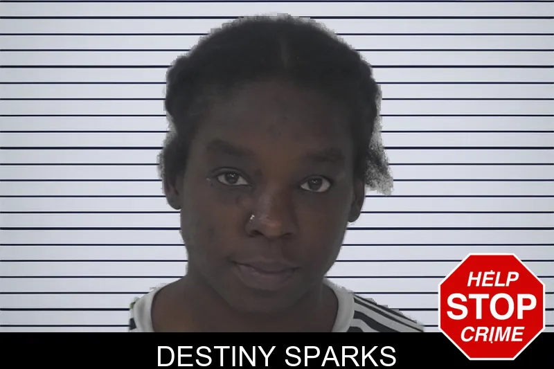 Destiny Sparks mugshot – Fayette County , Georgia Destiny Sparks mugshot