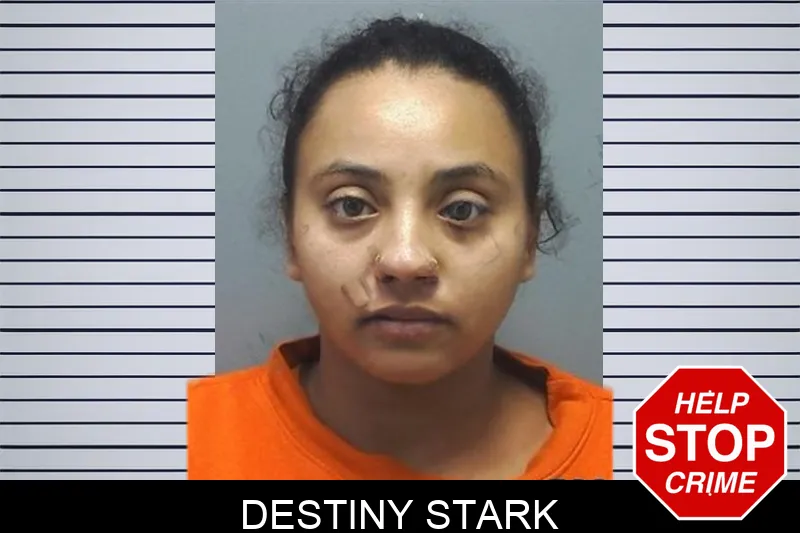 Destiny Stark mugshot – Cherokee County , Georgia Destiny Stark mugshot
