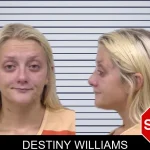 Destiny Williams mugshot