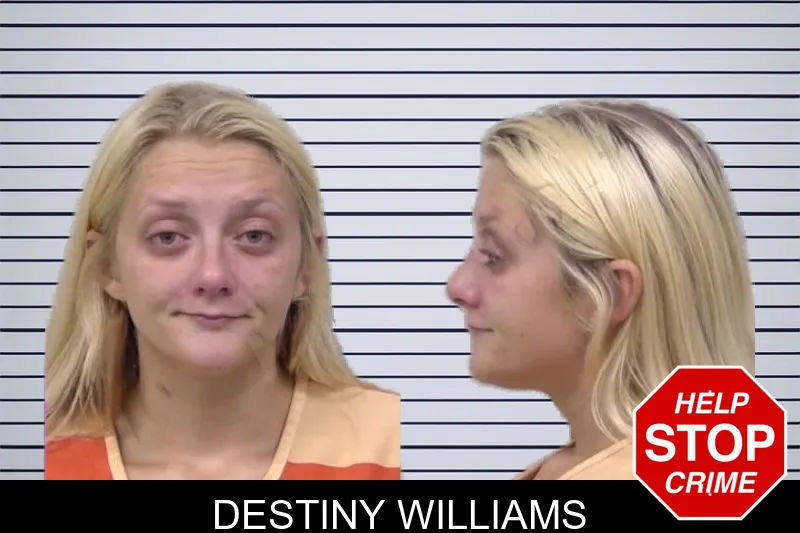Destiny Williams mugshot – Paulding County , Georgia Destiny Williams mugshot