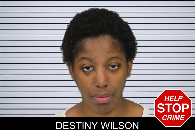 Destiny Wilson mugshot – Cobb County , Georgia Destiny Wilson mugshot