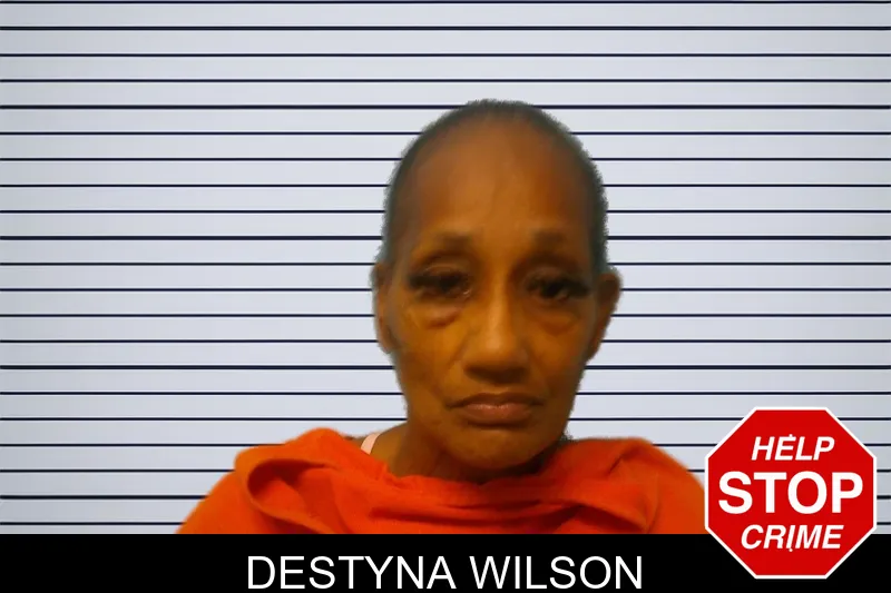 Destyna Wilson mugshot
