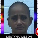 Destyna Wilson mugshot – Jackson County , Georgia Destyna Wilson mugshot