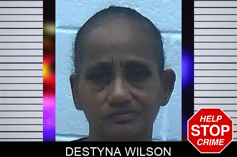 Destyna Wilson mugshot