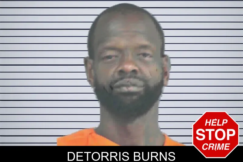 Detorris Burns mugshot – Mitchell County , Georgia Detorris Burns mugshot