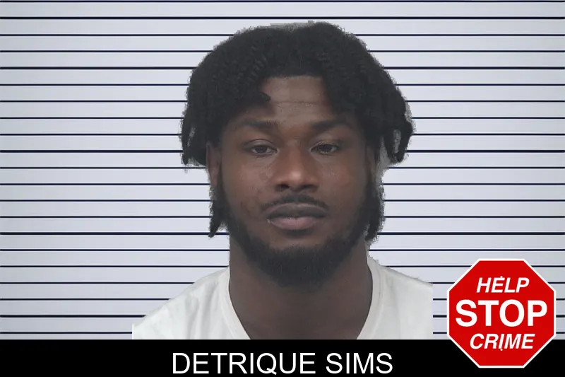 Detrique Sims mugshot – Gwinnett County , Georgia Detrique Sims mugshot