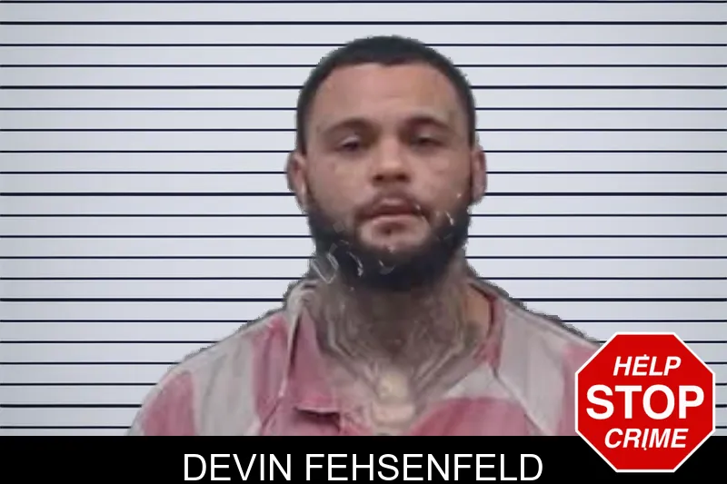 Devin Fehsenfeld mugshot