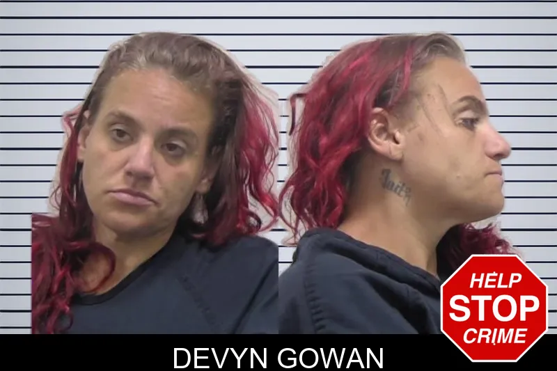 Devyn Gowan mugshot – Clarke County , Georgia Devyn Gowan mugshot