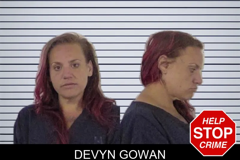 Devyn Gowan mugshot – Clarke County , Georgia Devyn Gowan mugshot