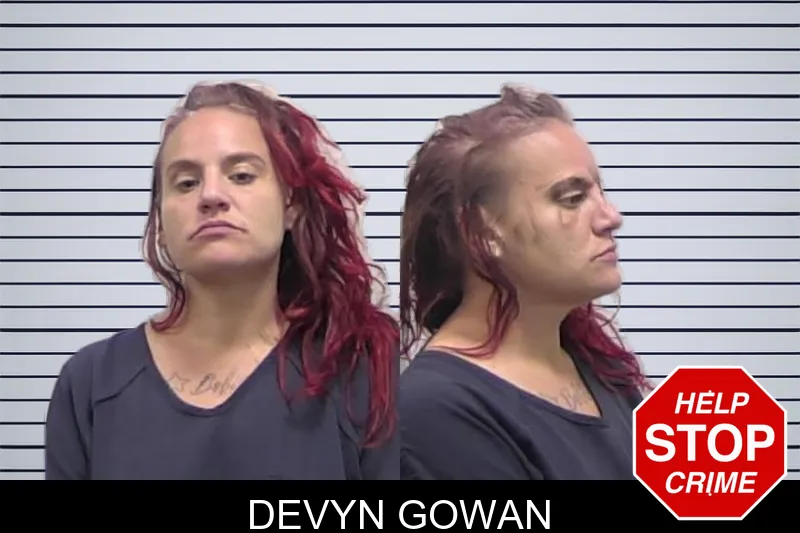 Devyn Gowan mugshot – Clarke County , Georgia Devyn Gowan mugshot
