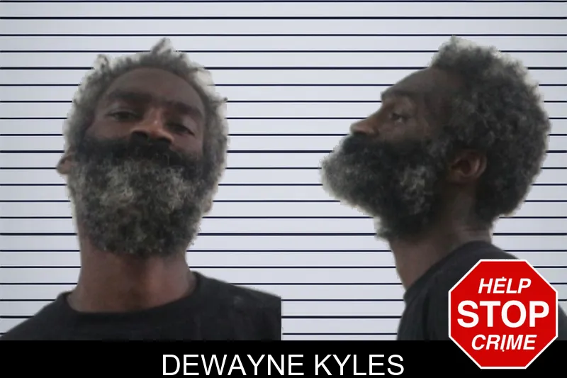 Dewayne Kyles mugshot – Houston County , Georgia Dewayne Kyles mugshot