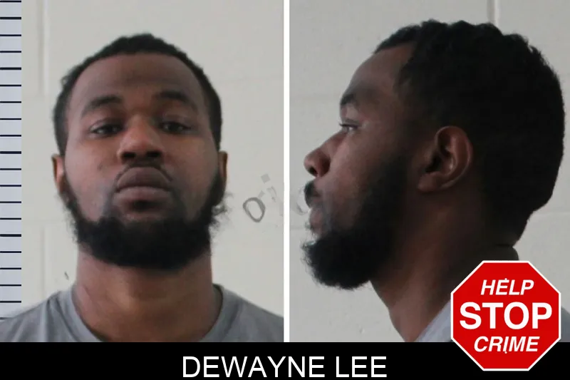 Dewayne Lee mugshot