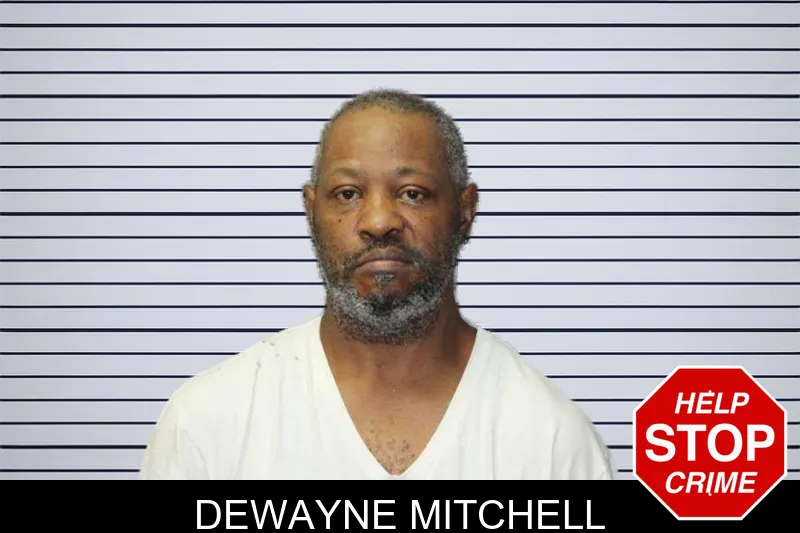 Dewayne Mitchell mugshot – Thomas County , Georgia Dewayne Mitchell mugshot