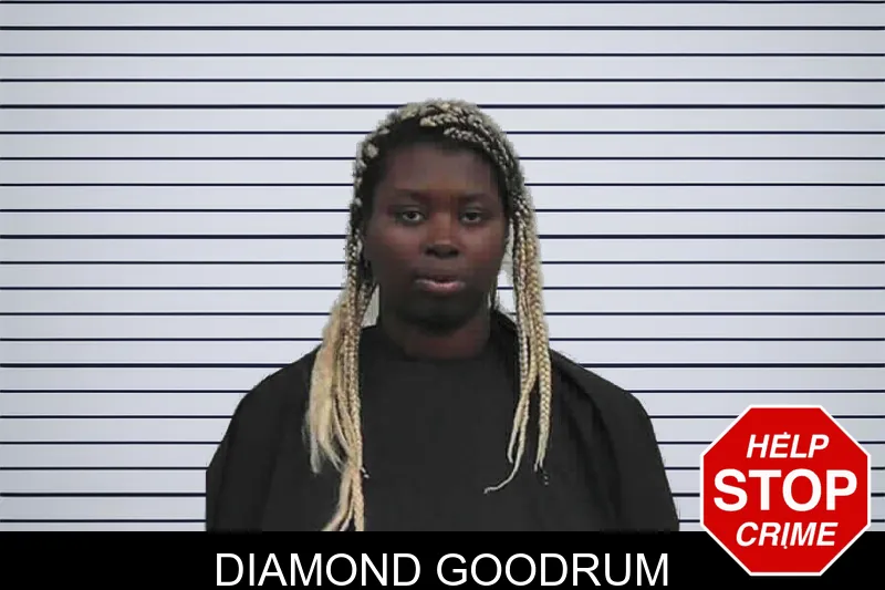 Diamond Goodrum mugshot – Butts County , Georgia Diamond Goodrum mugshot