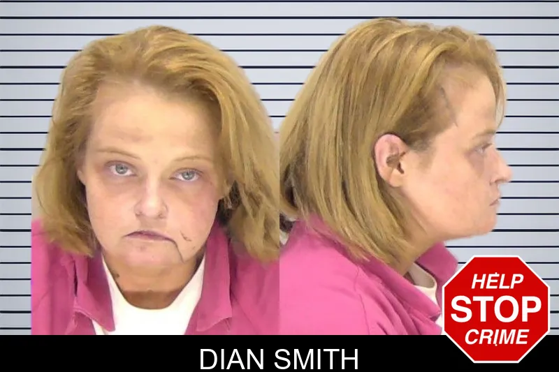 Dian Smith mugshot – Richmond County , Georgia Dian Smith mugshot