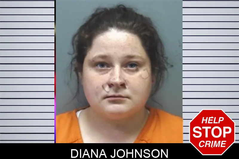 Diana Johnson mugshot – Cherokee County , Georgia Diana Johnson mugshot