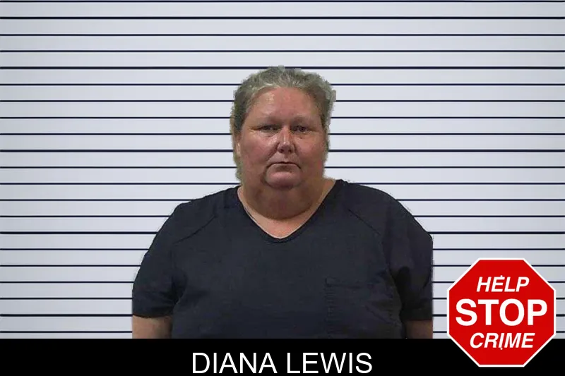 Diana Lewis mugshot – Gilmer County , Georgia Diana Lewis mugshot