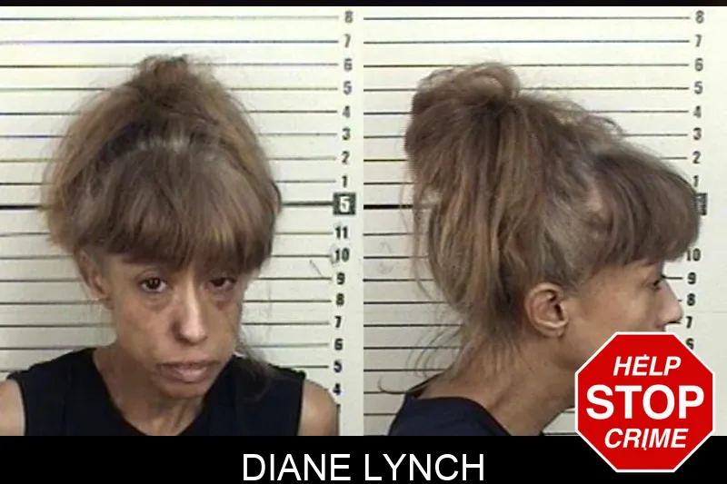 Diane Lynch mugshot – Camden County , Georgia Diane Lynch mugshot