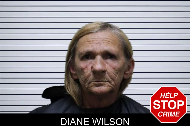 Diane Wilson mugshot – Haralson County , Georgia Diane Wilson mugshot