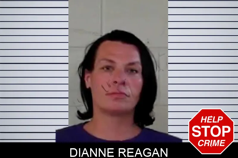 Dianne Reagan mugshot