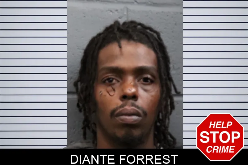 Diante Forrest mugshot – Forsyth County , Georgia Diante Forrest mugshot